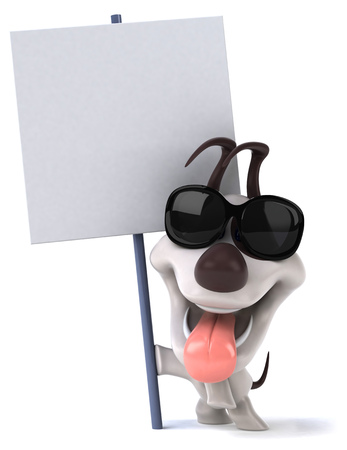 Fun dogの写真素材