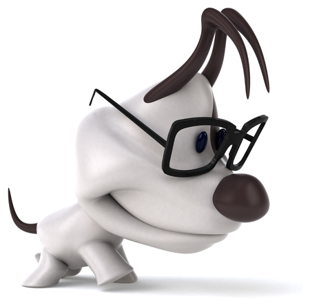 Fun dogの写真素材