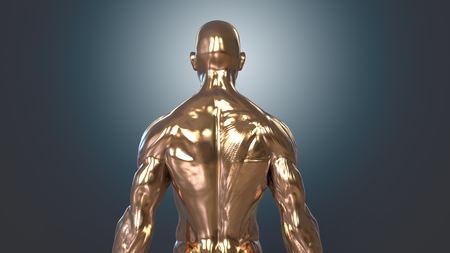 Anatomyの写真素材