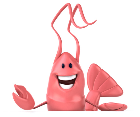 Fun shrimpの写真素材