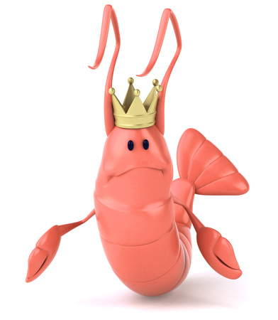 Shrimp with crown feeling sadの写真素材