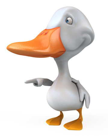 White duckの写真素材