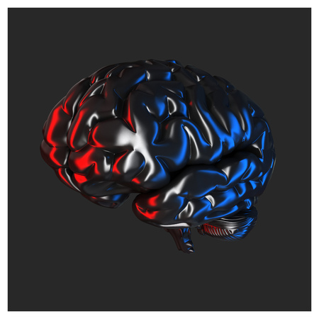 Brainの写真素材
