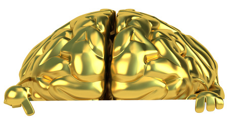 Golden brainの写真素材