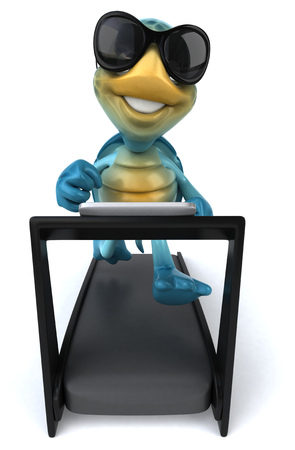 Fun turtleの写真素材