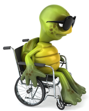 Fun turtleの写真素材