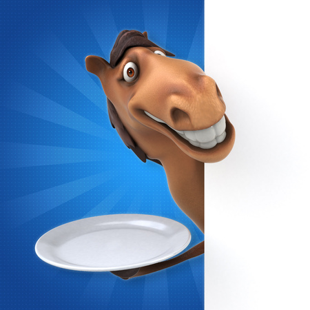 Fun horseの写真素材