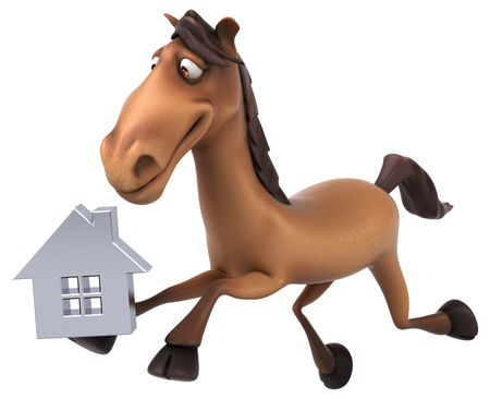Fun horseの写真素材