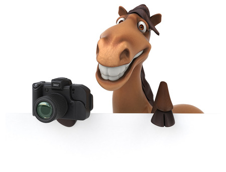 Fun horseの写真素材