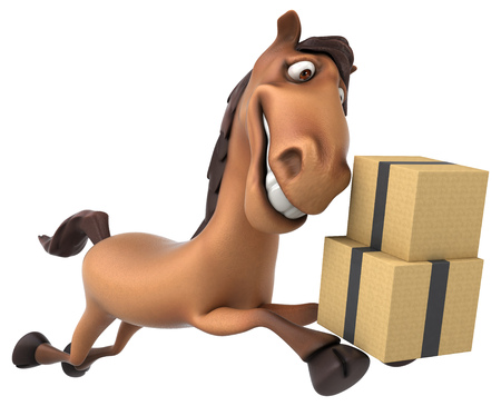 Fun horseの写真素材