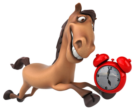 Fun horseの写真素材