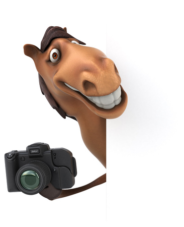 Fun horseの写真素材