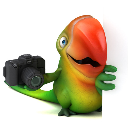 Fun parrotの写真素材