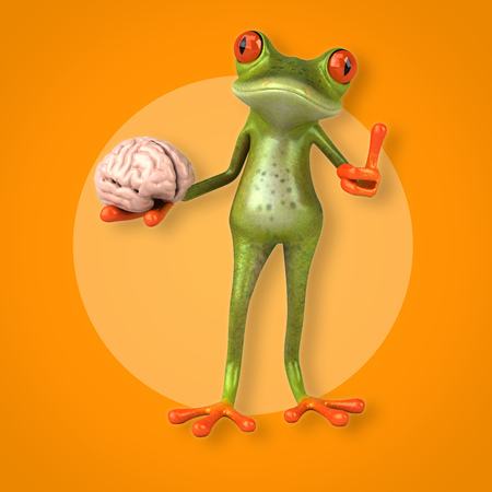 Fun frogの写真素材