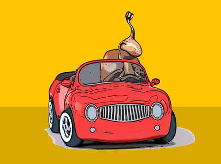 Fun snailの写真素材