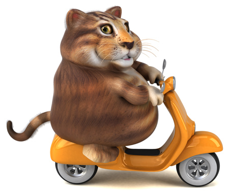 Fun cat - 3D Illustrationの写真素材