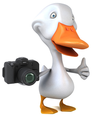 Fun duck - 3D Illustrationの写真素材
