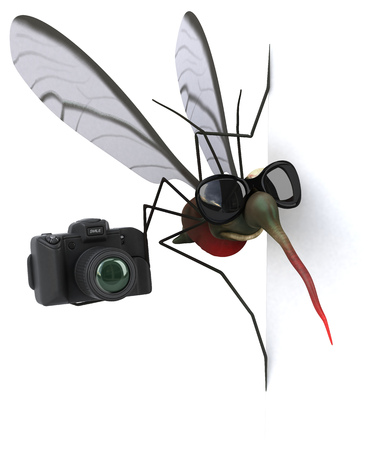 Mosquito - 3D Illustrationの写真素材