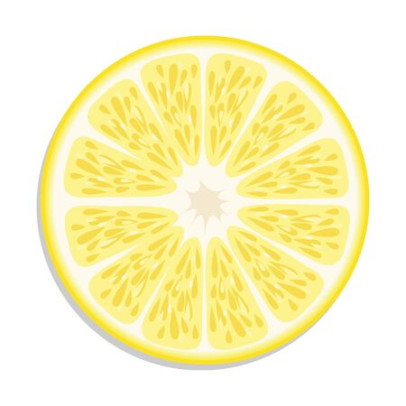 Orange slice vector illustration.のイラスト素材