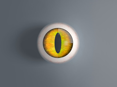 Illustration of 3d render cat eyeballの写真素材