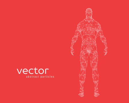 Abstract vector illustration of human body on red backgroundのイラスト素材