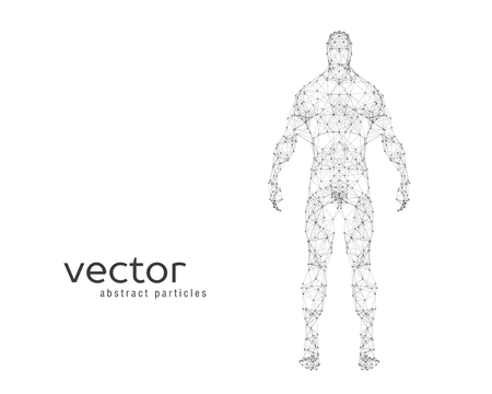 Abstract vector illustration of human body on white backgroundのイラスト素材