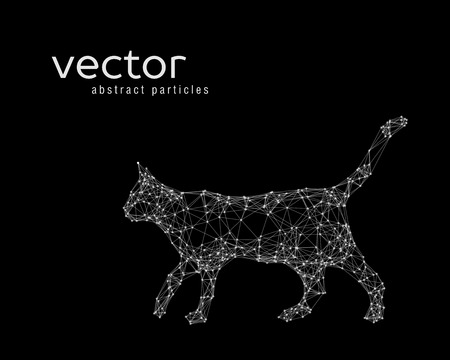 Abstract vector illustration of cat on black backgroundのイラスト素材