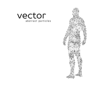 Abstract vector illustration of human body on white background.のイラスト素材
