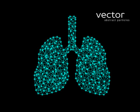 Abstract vector illustration of human lungs on black background.のイラスト素材