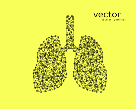 Abstract vector illustration of human lungs on yellow background.のイラスト素材
