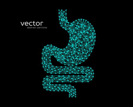 Abstract vector illustration of human stomach on black background.のイラスト素材