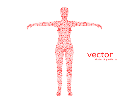 Abstract vector illustration of female body on white background.のイラスト素材