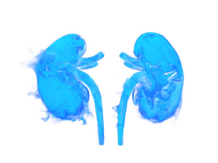 Fantastic abstract illustration of human kidneys.  3D illustration.の写真素材