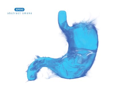 Abstract vector illustration of human stomach on white background.のイラスト素材