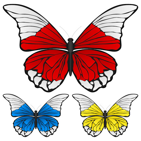 Butterfly set isolated on white background, Vector illustration.のイラスト素材