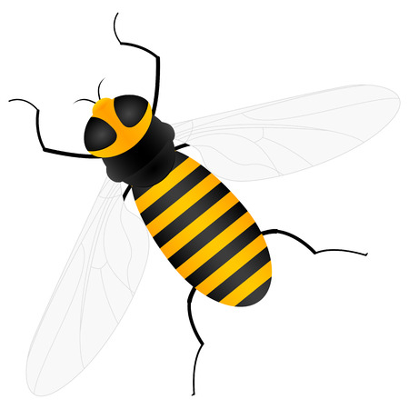 Yellow worker bee on a white background. Vector illustration.のイラスト素材