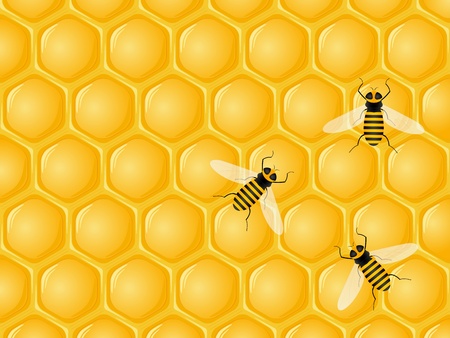 Honeycomb and bees background. Vector illustration.のイラスト素材