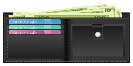 Open wallet with banknotes and credit cards illustration のイラスト素材
