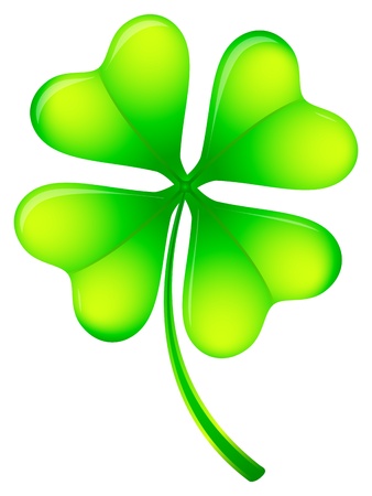 Green four leafs clover on a white background. のイラスト素材