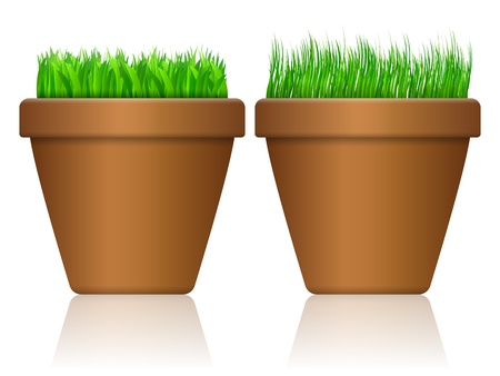 Flowerpot with grass on a white background.のイラスト素材