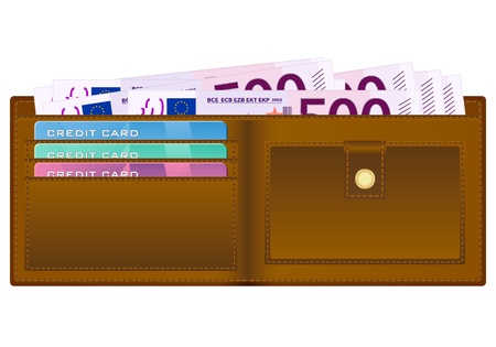 Open wallet with euro banknotes and credit cards のイラスト素材