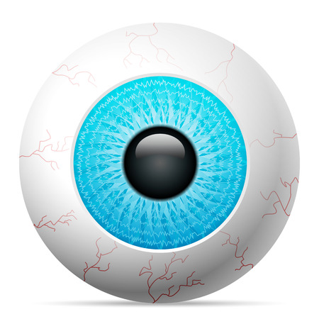 Blue eye on a white background.のイラスト素材