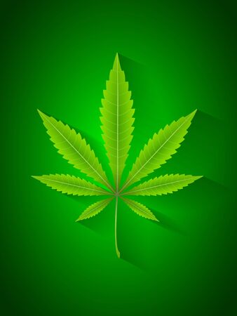 Marijuana leaf on a green background. Vector illustration.のイラスト素材