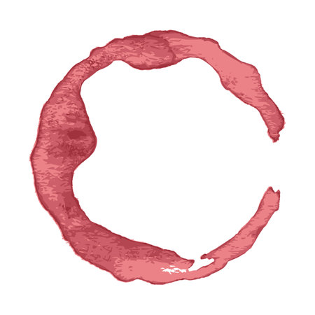 Wine stain on a white background. Vector illustration.のイラスト素材
