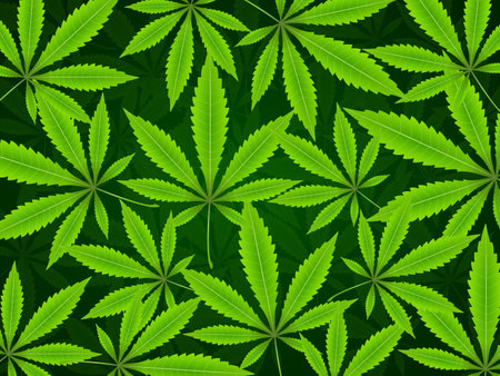 Background formed by marijuana leafs. Vector illustration.のイラスト素材