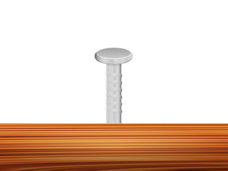 Hammered nail on the wooden floor. Vector illustration.のイラスト素材