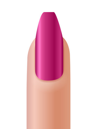 Fingernail manicure on a white background. Vector illustration.のイラスト素材