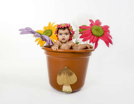 a baby dressed in a flower potの写真素材