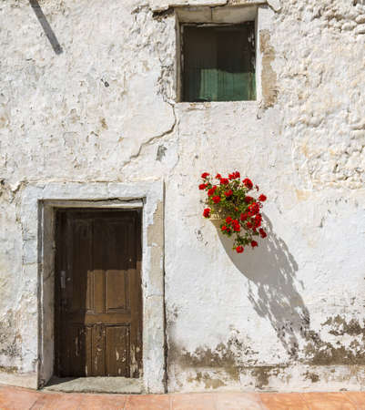 geraniums are a typical Andalusian patioの写真素材
