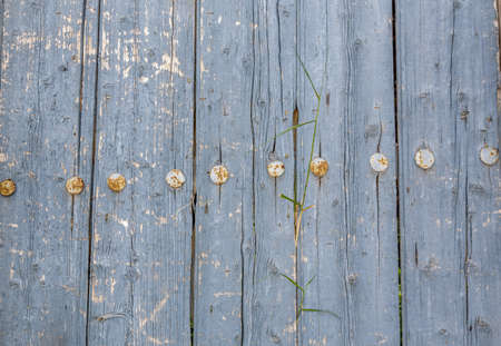 is a background of blue wood planksの写真素材